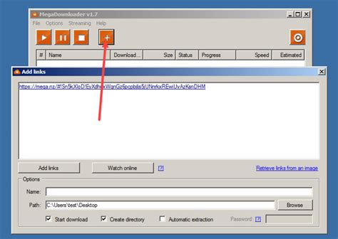 How to Download Videos from Mega Video to PC and .